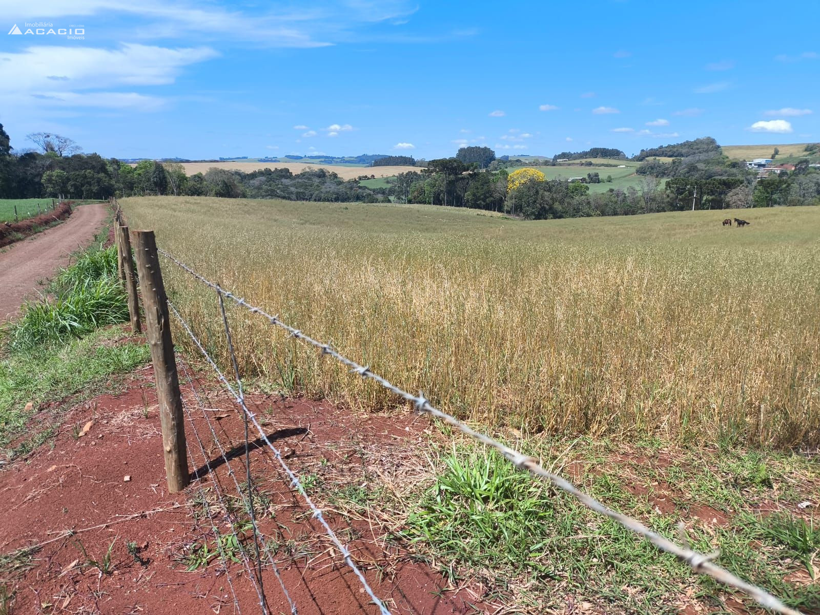 VENDE-SE CHÁCARA À 10 KM DE PATO BRANCO/PR
