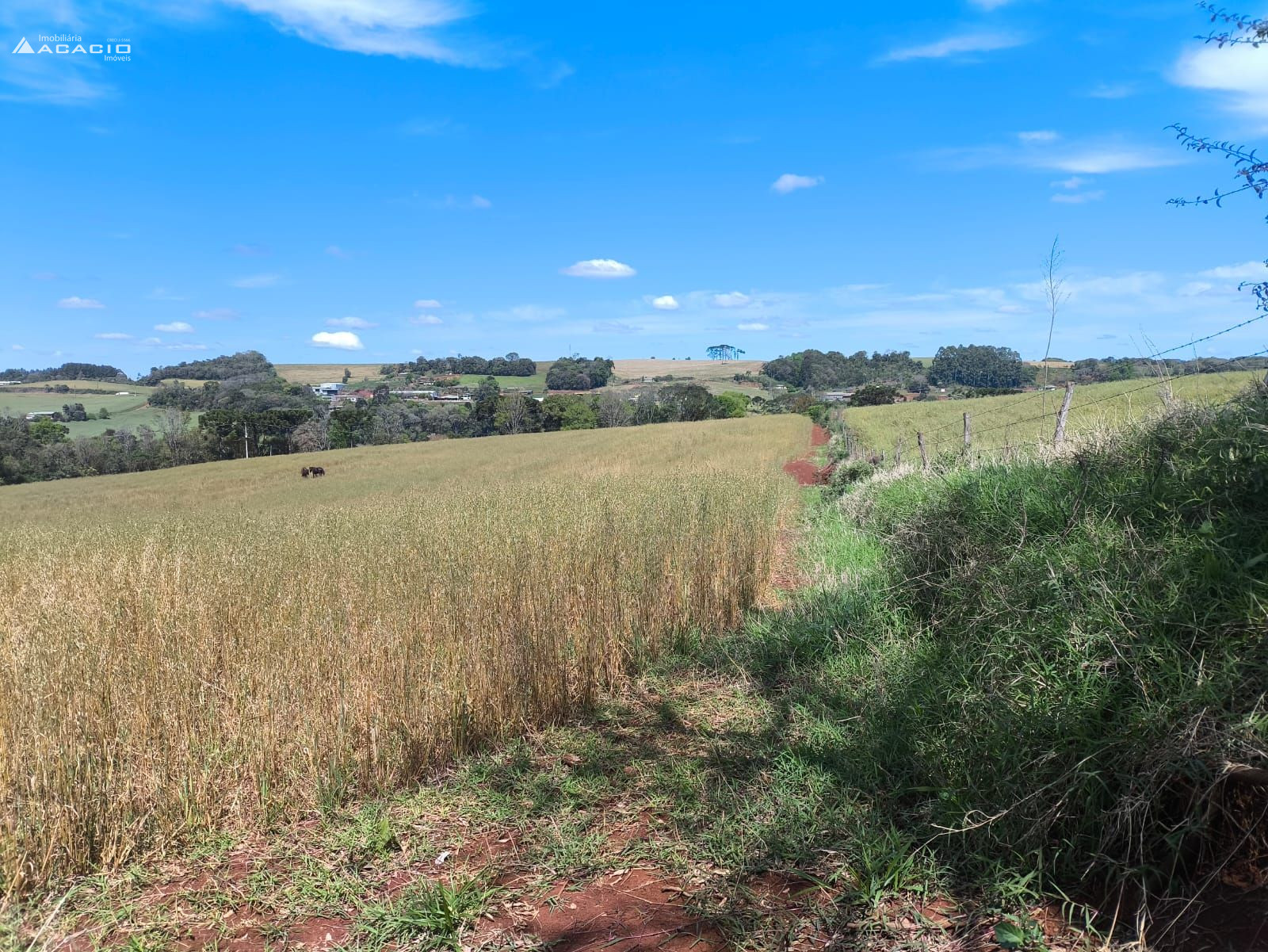 VENDE-SE CHCARA 10 KM DE PATO BRANCO/PR