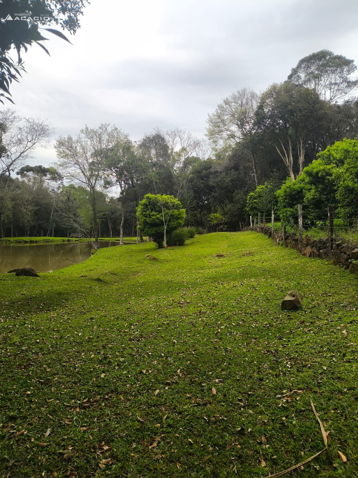 VENDE-SE CHCARA 10 KM DE PATO BRANCO/PR
