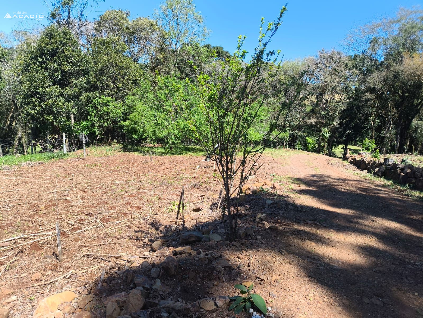 VENDE-SE CHCARA 10 KM DE PATO BRANCO/PR