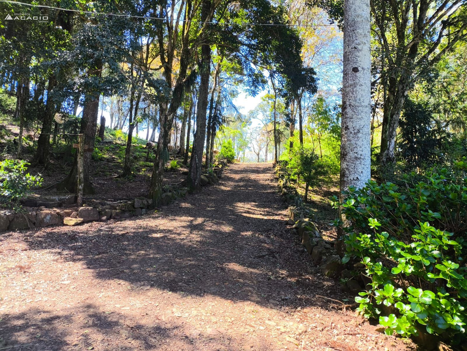 VENDE-SE CHCARA 10 KM DE PATO BRANCO/PR