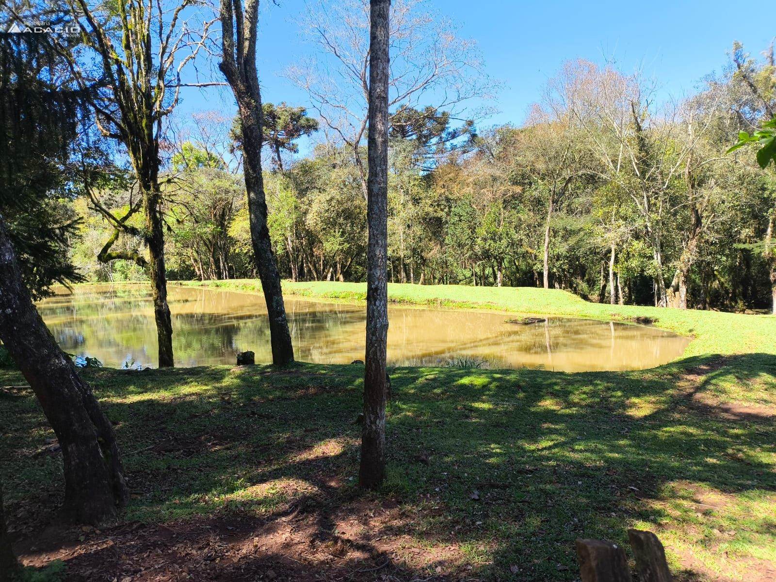 VENDE-SE CHCARA 10 KM DE PATO BRANCO/PR