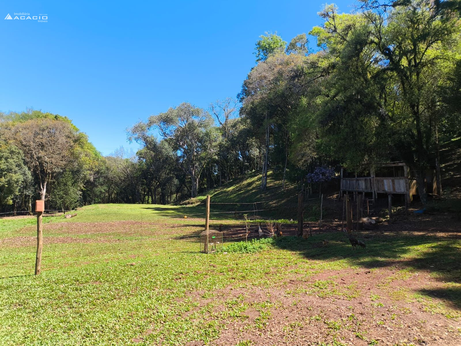 VENDE-SE CHCARA 10 KM DE PATO BRANCO/PR