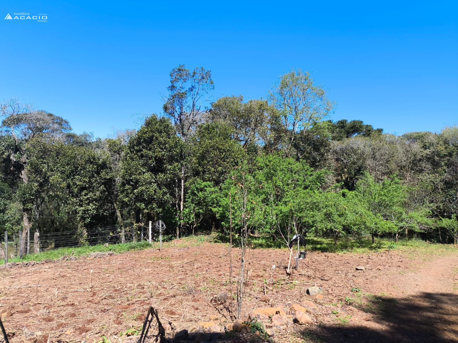 VENDE-SE CHCARA 10 KM DE PATO BRANCO/PR