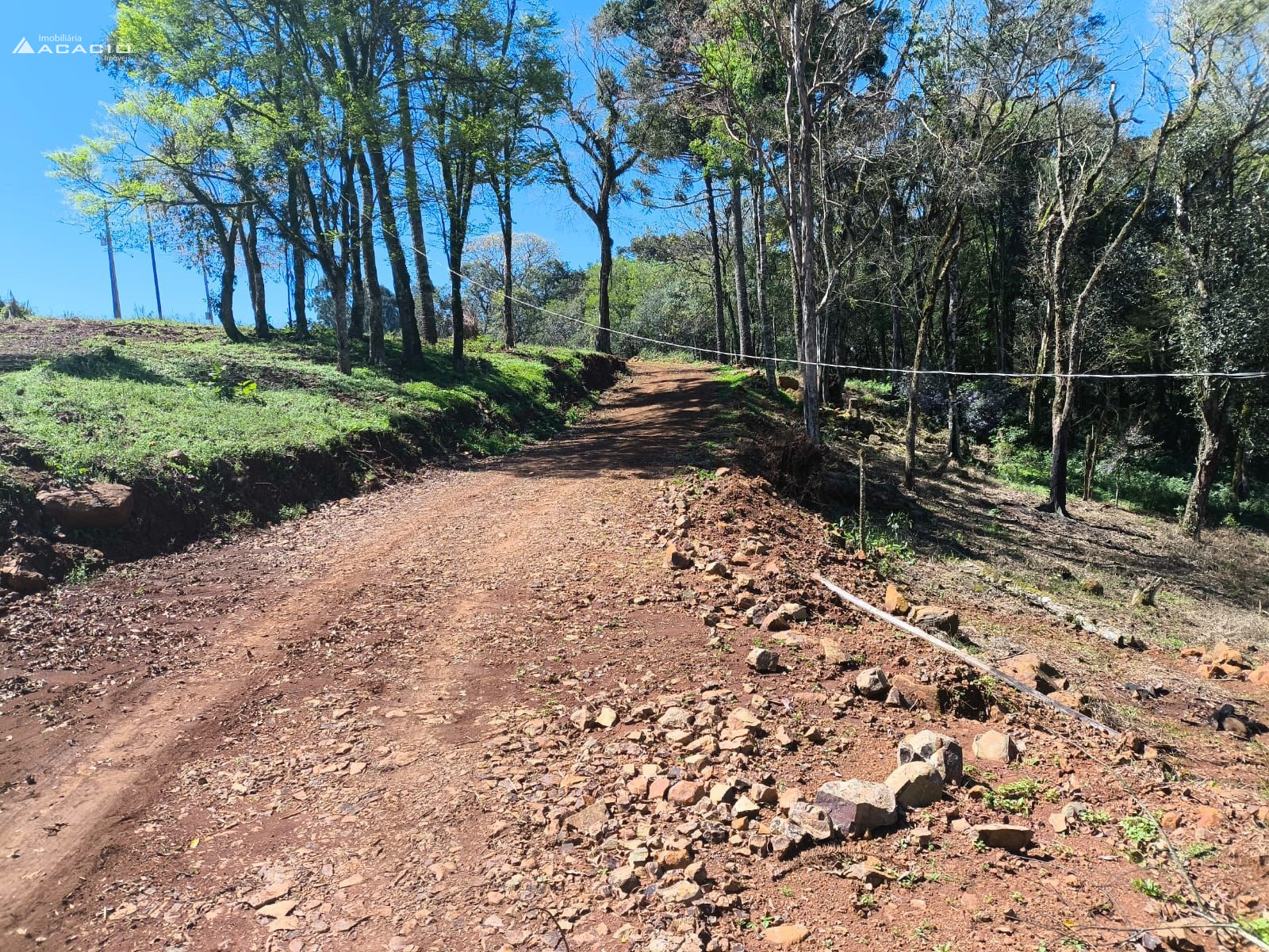 VENDE-SE CHCARA 10 KM DE PATO BRANCO/PR