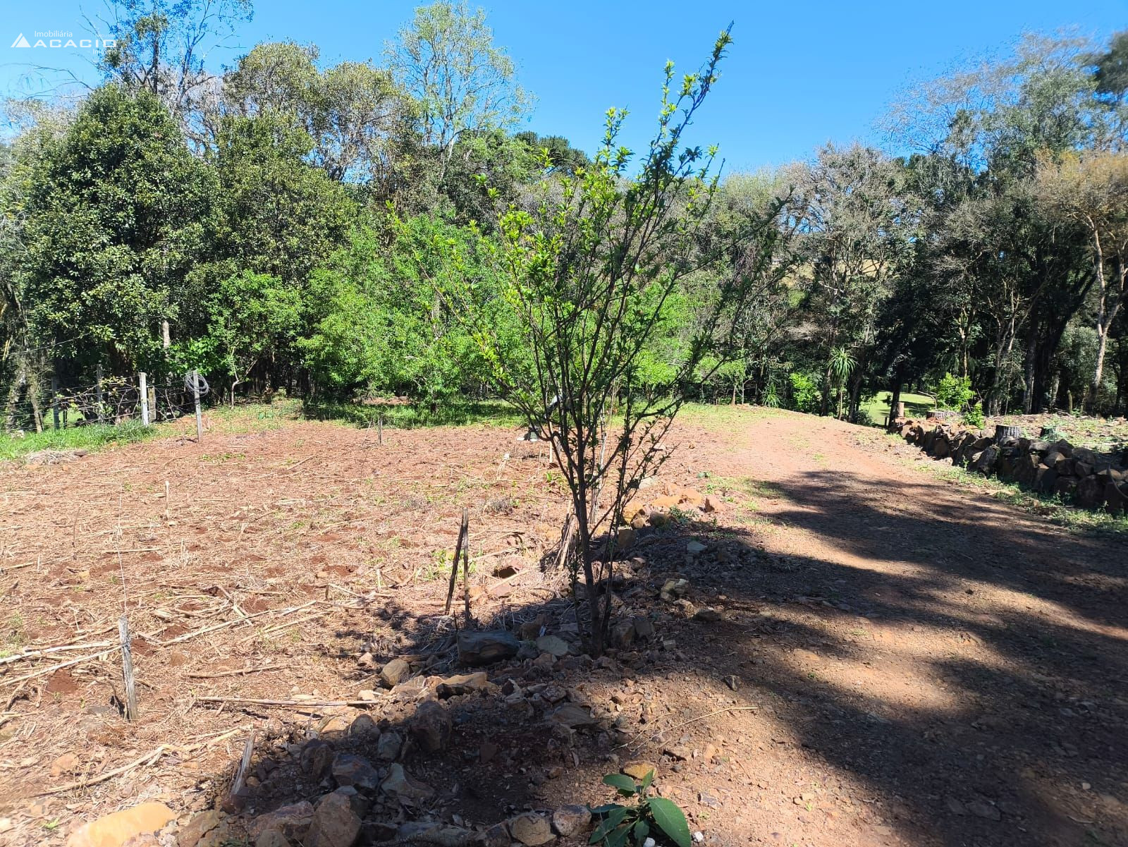 VENDE-SE CHCARA 10 KM DE PATO BRANCO/PR