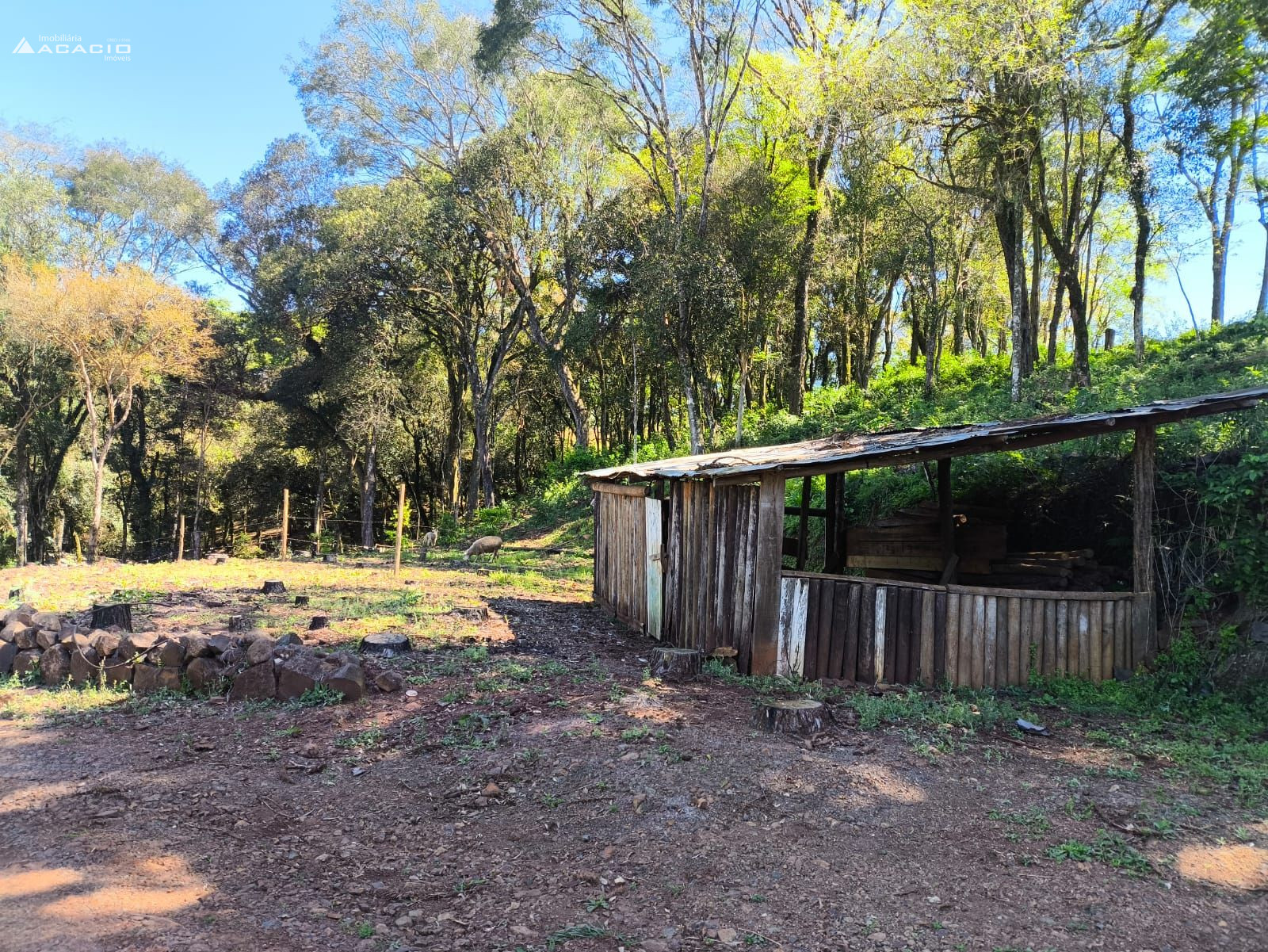VENDE-SE CHCARA 10 KM DE PATO BRANCO/PR