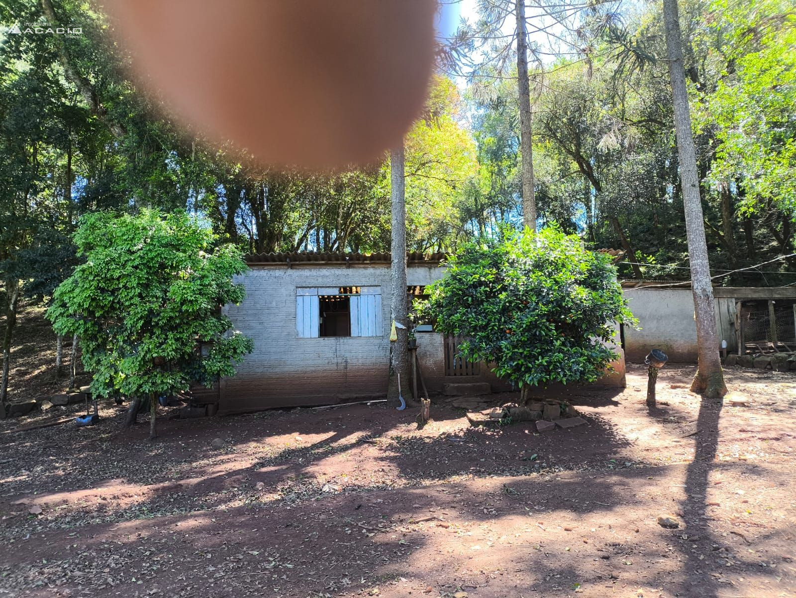 VENDE-SE CHCARA 10 KM DE PATO BRANCO/PR