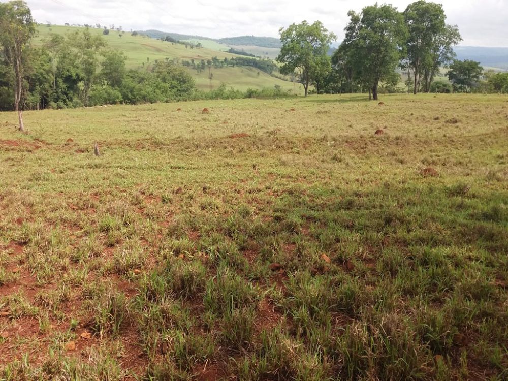 S?tio 10,15 hectares, 15 km Uberl?ndia, Regi?o Cruzeiro dos Pe...