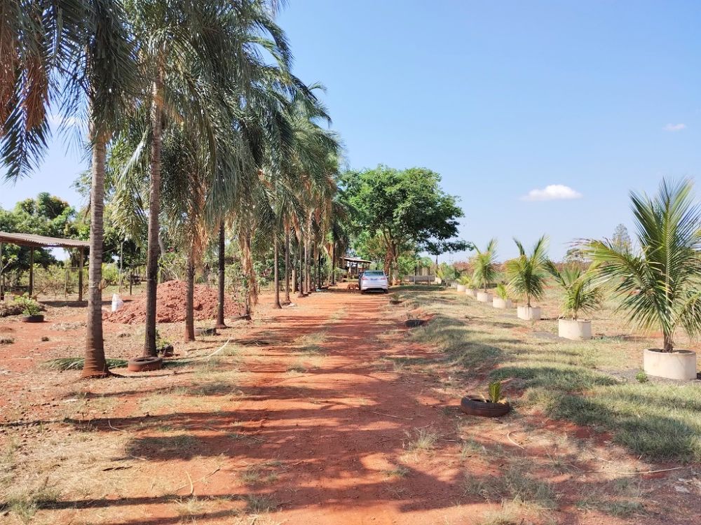 Sítio 2,42 hectares, duas casas, 26 km Uberlândia MG.