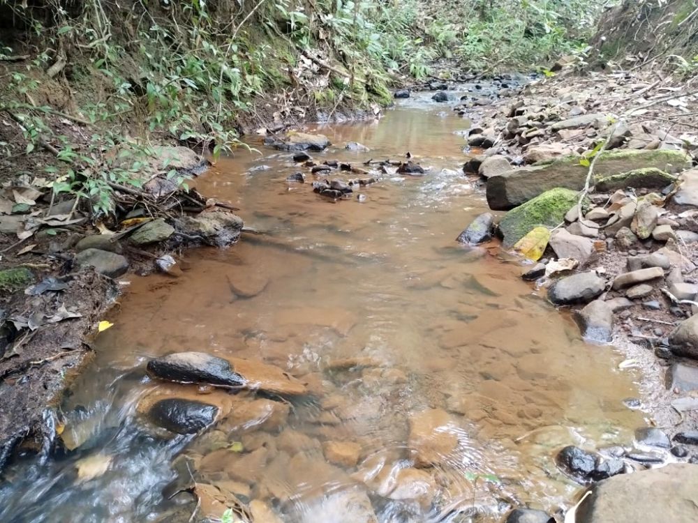 S?tio 2,121 hectares com ?gua corrente, 26km de Uberl?ndia MG.