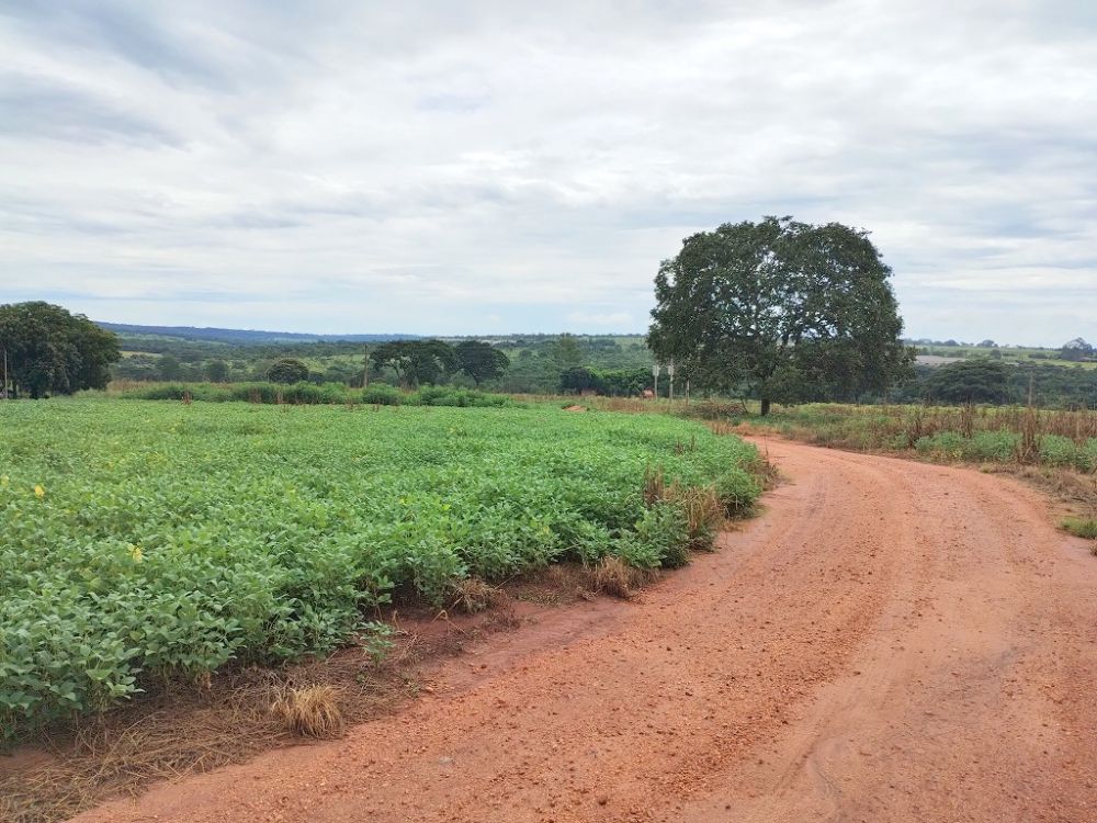 Fazenda 20,0 alqueires em soja, banhada ribeir?o, Monte Alegre...