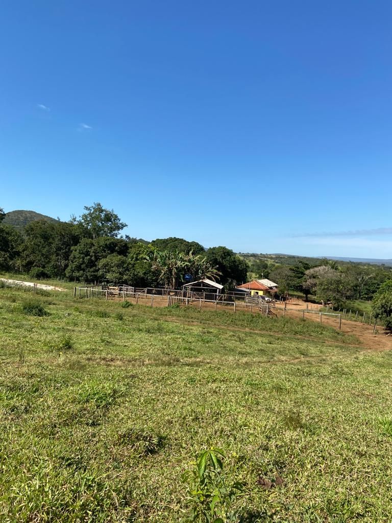 Fazenda 212,0 hectares em pecu?ria, Paracatu MG.