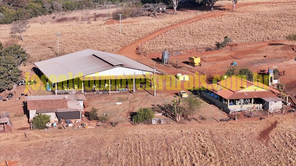 S?tio 8,70 hectares, pecu?ria leiteria, porteira fechada, Perd...