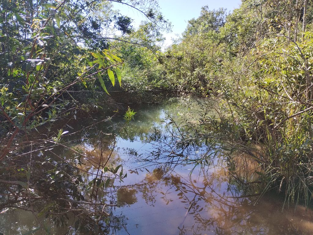 Sítio 2,50 alqueires, plano, água corrente, Monte Alegre MG.