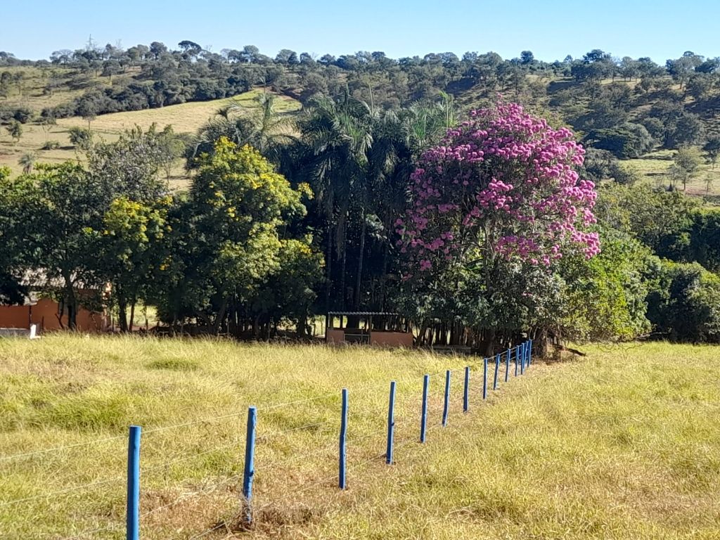 Sítio 7,0 hectares, 25 km Araguari