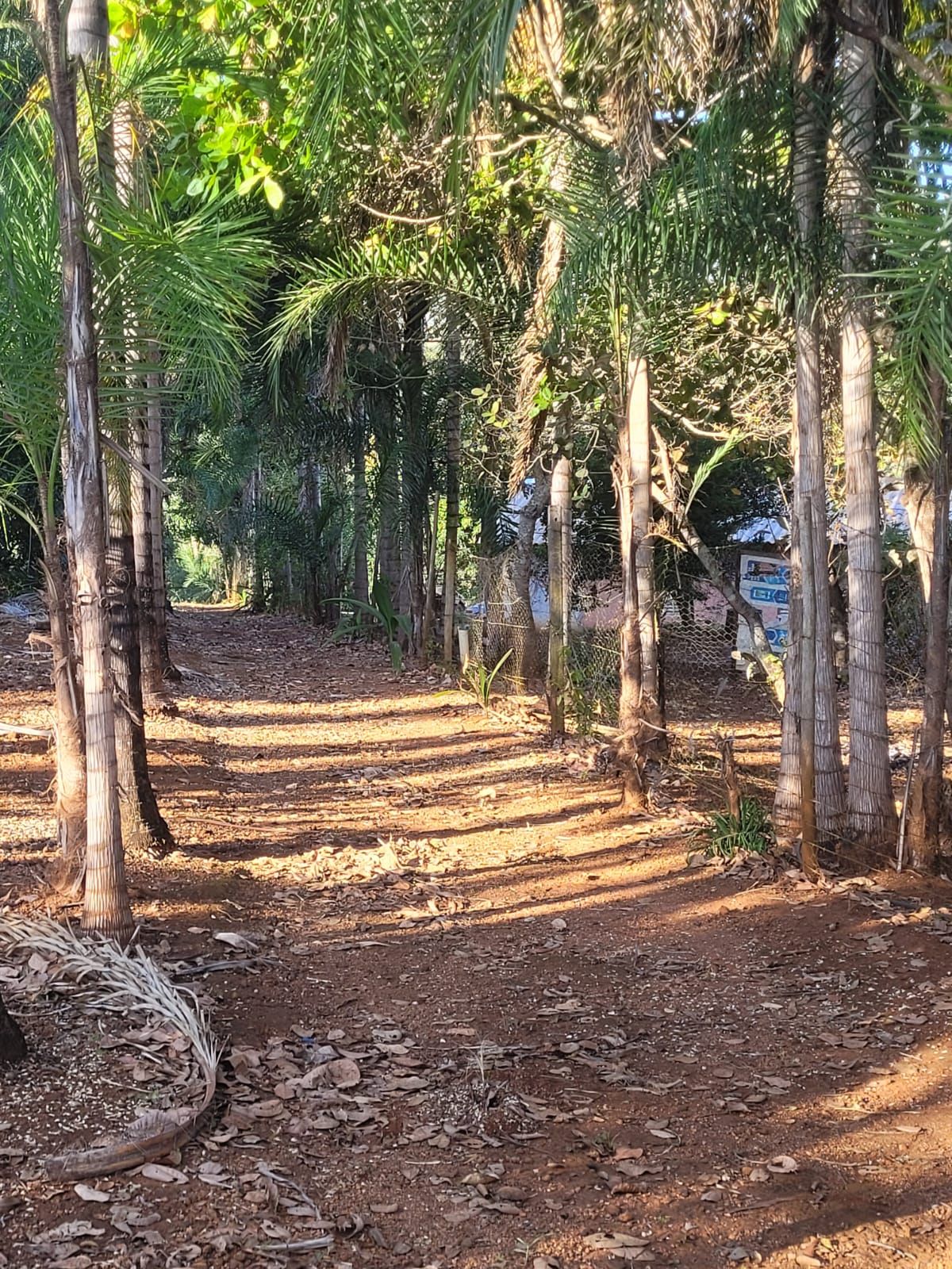 Chácara 3750m² às margens da Represa de Miranda.