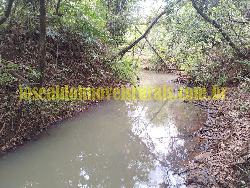 S?tio 1,0 alqueire, ?gua corrente, 23 km Uberl?ndia MG.