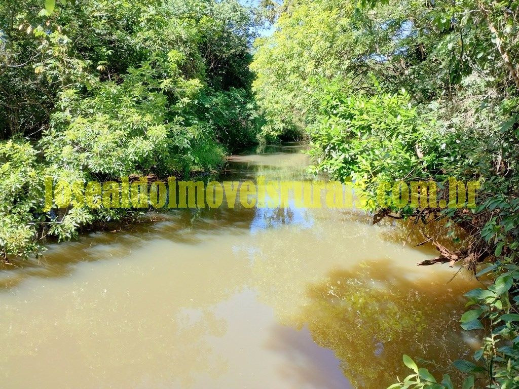 Sítio 2,50 hectares, muita água, entre Uberlândia e Monte Alegre.