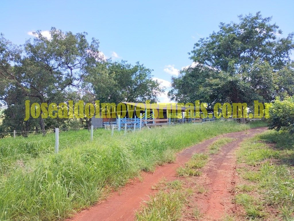 Sítio 1,50 alqueires, cultura, 24 km de Uberlândia MG.