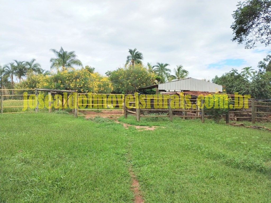 Sítio 6,84 hectares entre Uberlândia e Monte Alegre.