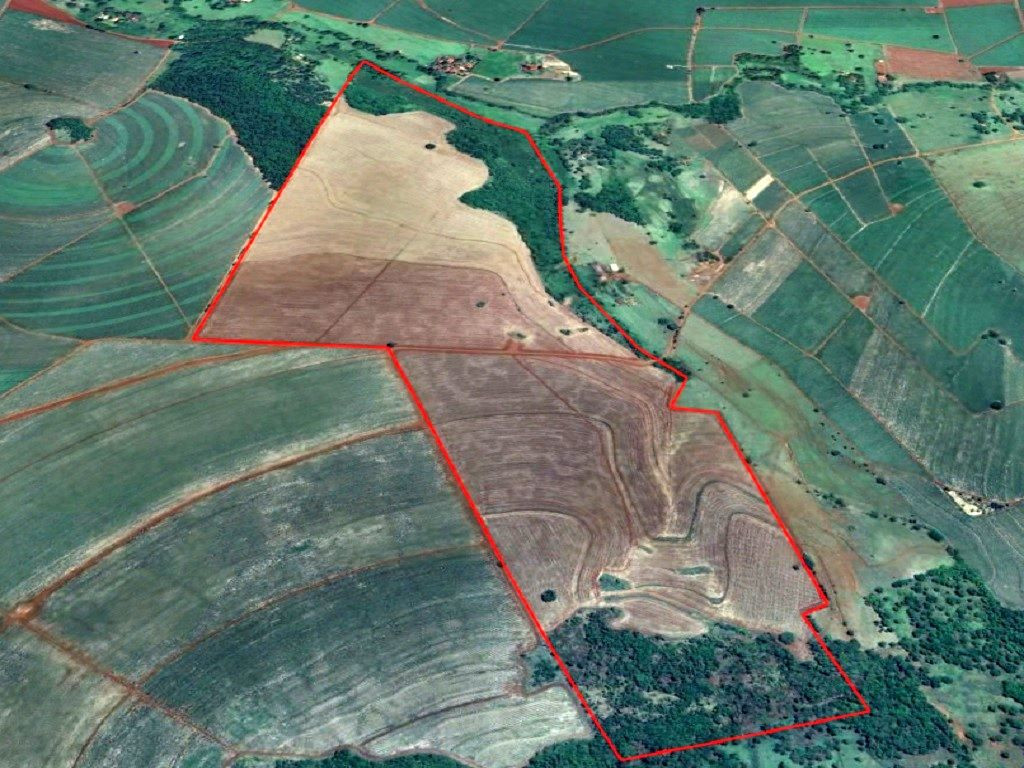 Fazenda produtiva, 125 hectares, Aramina SP.