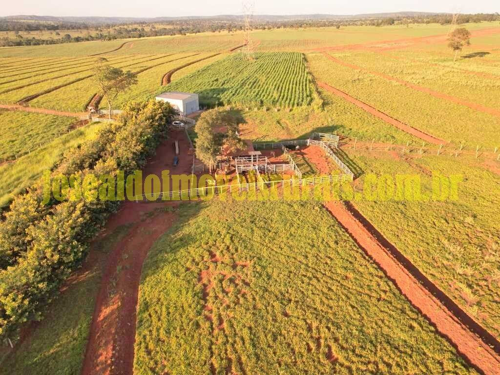 Fazenda Pronta para Pecuária 79,86 hectares em Santa Vitória/MG
