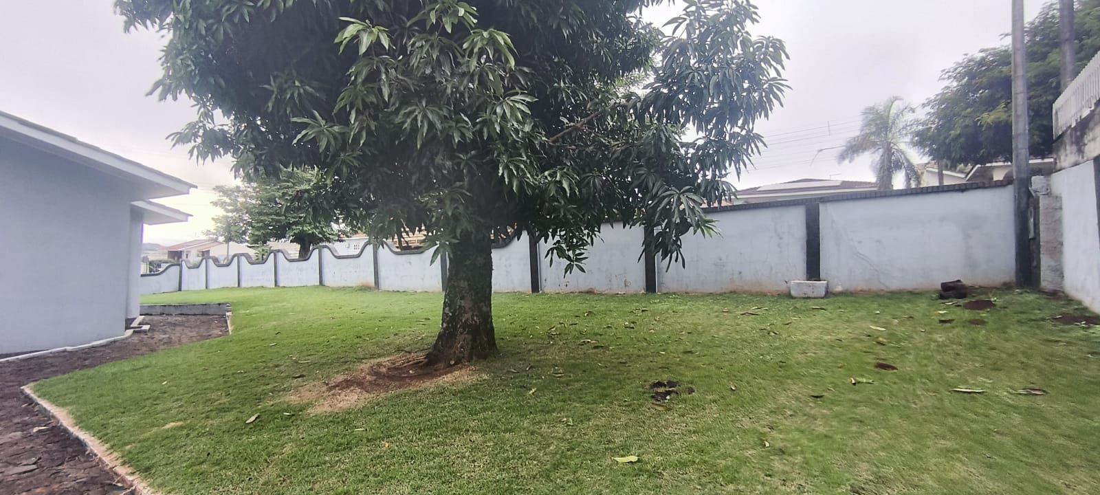 Alemo imveis Em So Miguel do Iguau