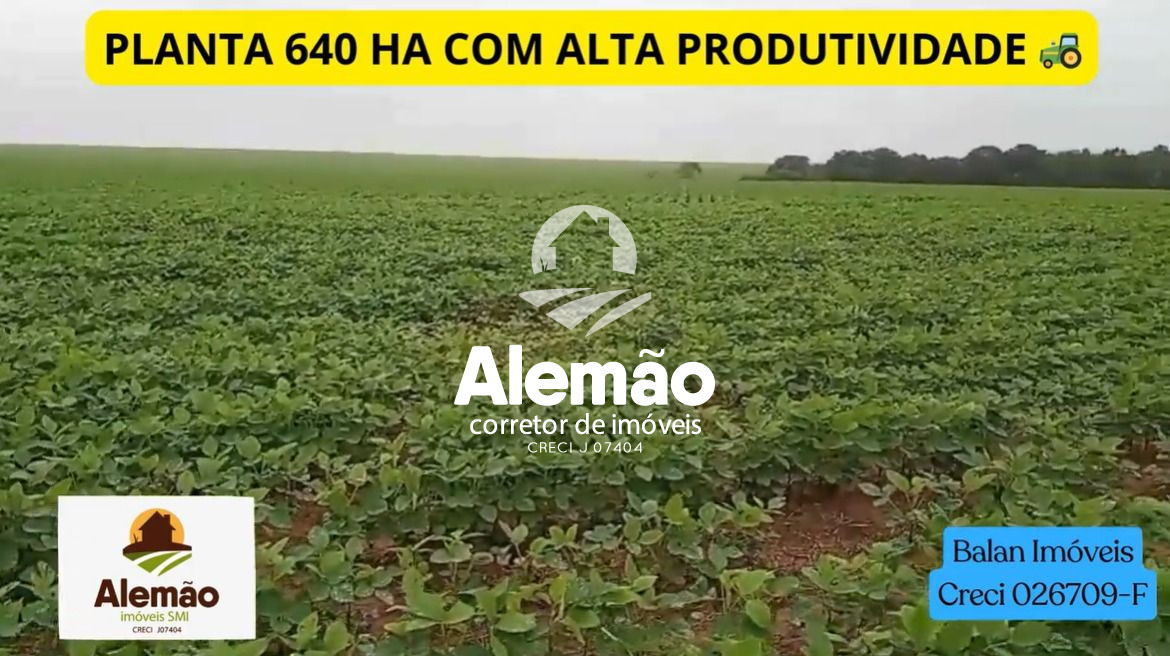 Fazenda/Ch?cara/?rea Rural para Venda CAMPO VERDE - MT