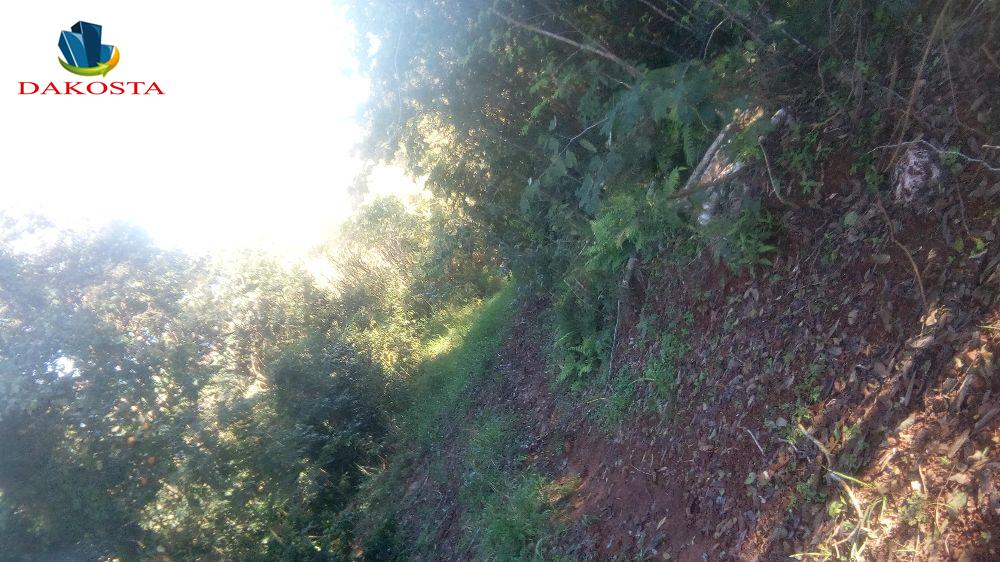 35 Alqueires fazenda pronta com parte de lavouras em oferta