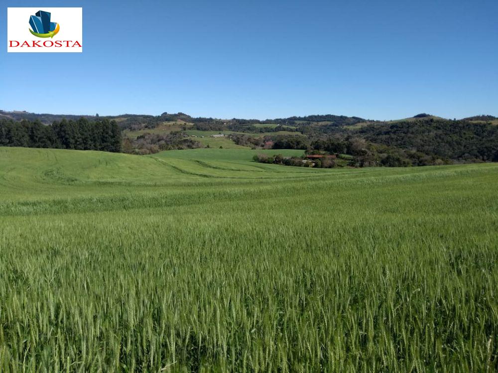 70 alqueires com 53 de lavoura na br