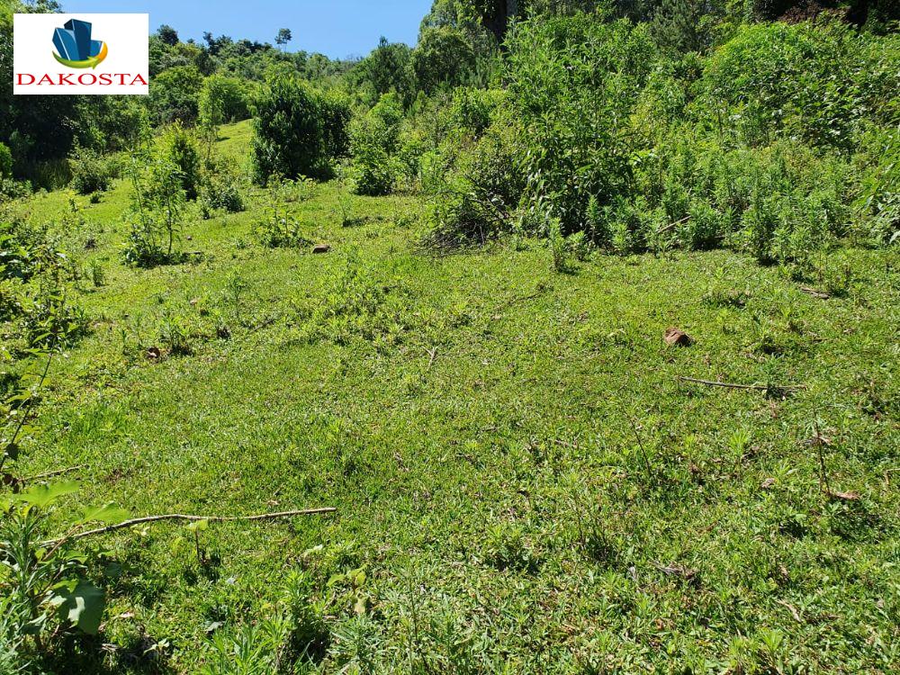 5 alqueires hoje planta quase 3 alqueires da pra arrumar 4