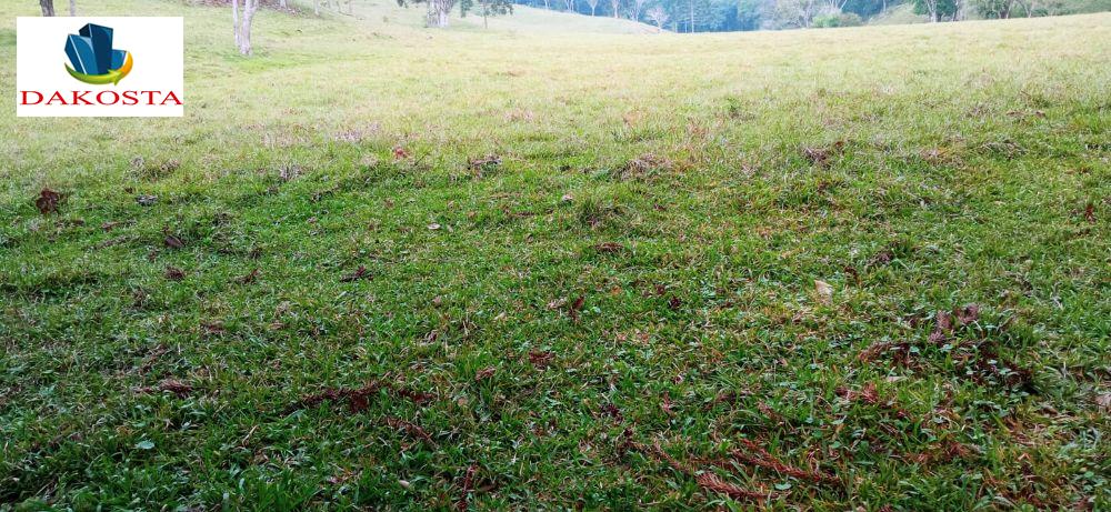10 alqueires todo cercado e gramado da 8 de lavoura