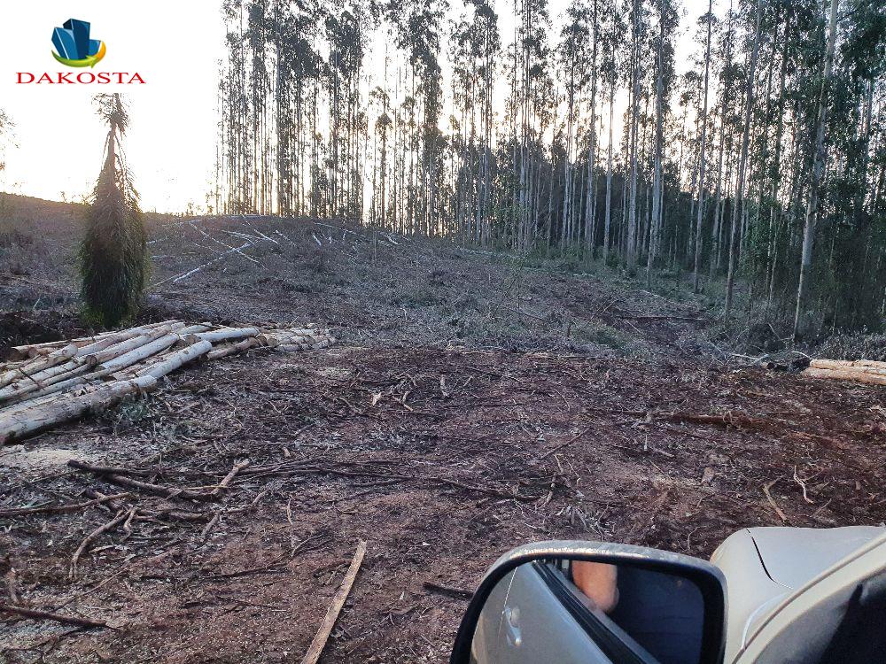 Dakosta Imveis em Enas Marques PR e regio