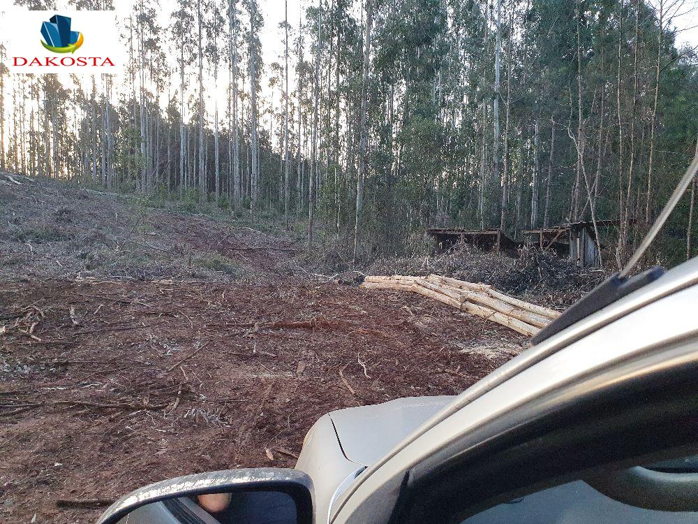 Dakosta Imveis em Enas Marques PR e regio