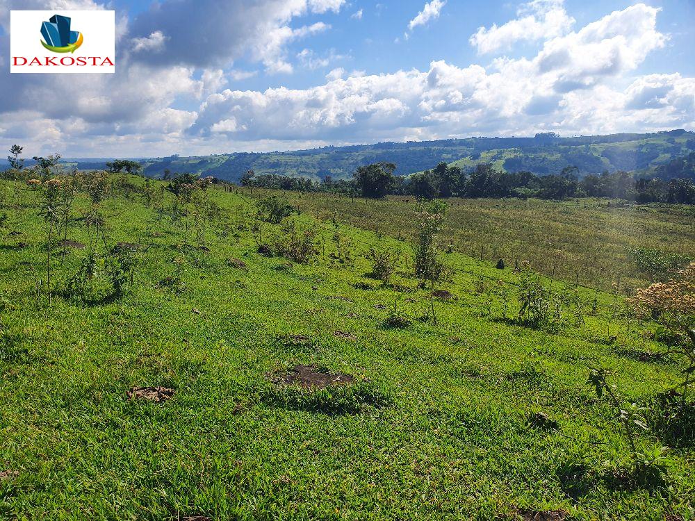 394 Alqueires fazendona encosta na BR, toda formada sede tima