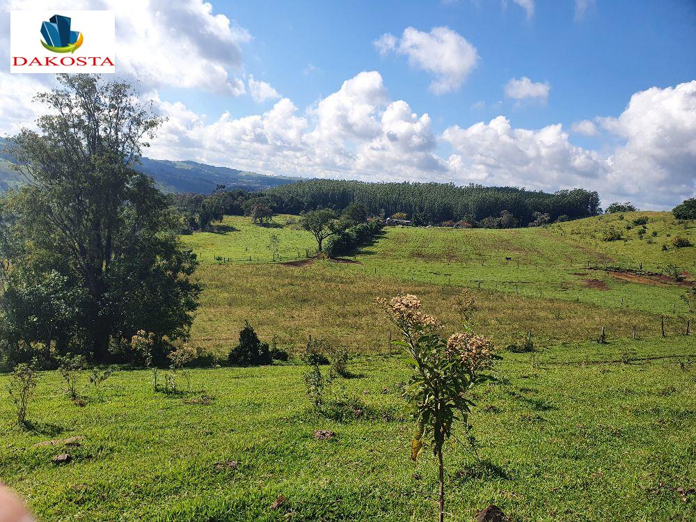 24 Alqueires fazenda pronta, metade lavoura
