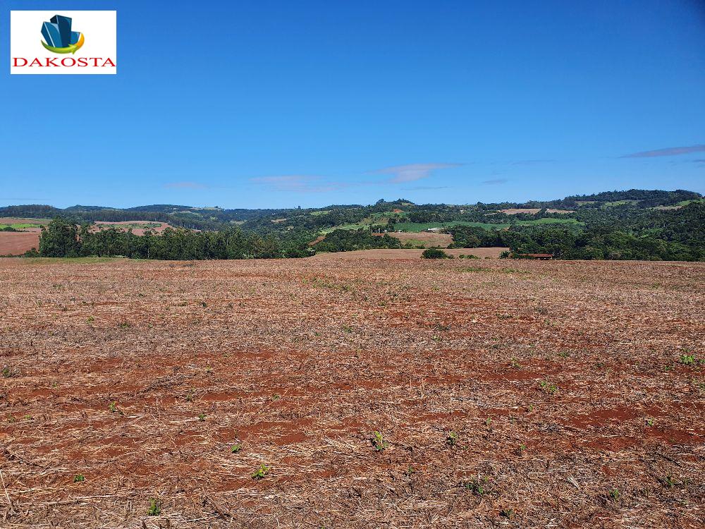 18 Alqueires plantando 12 prximo do asfalto