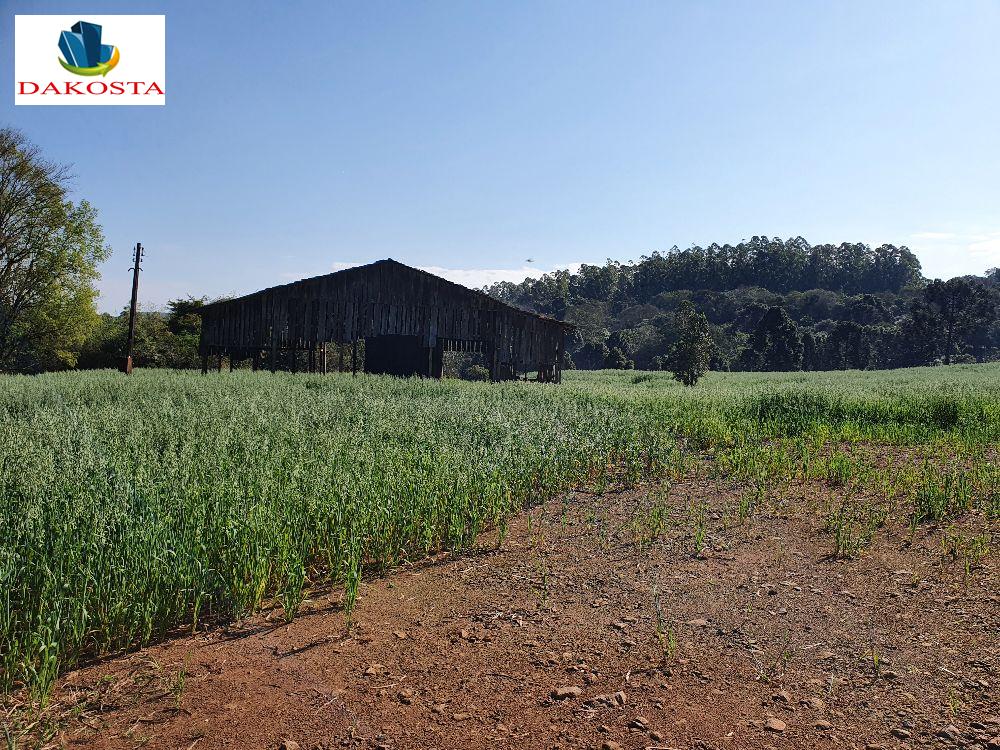 11 Alqueires com 9 de lavouras