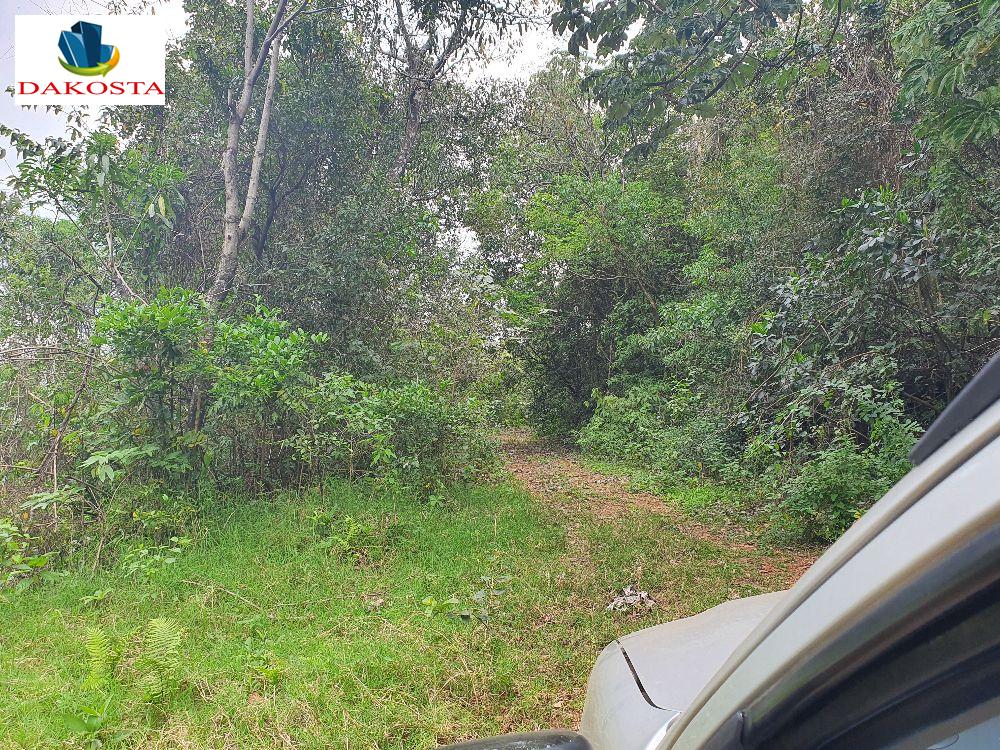 28.7 alqueires da metade de lavoura perto do asfalto