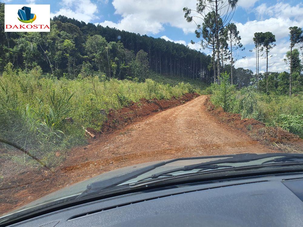 6.9 Alqueires foi retirado pinus, faz mais de 5 alqueires de lavouras