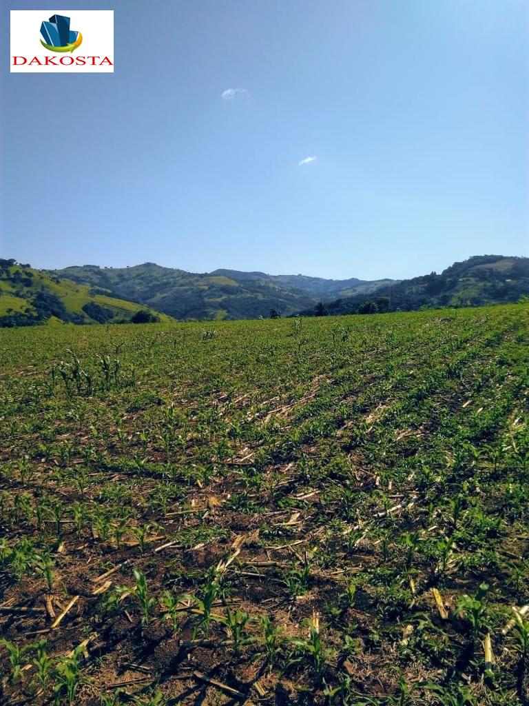 Dakosta Imveis em Enas Marques PR e regio