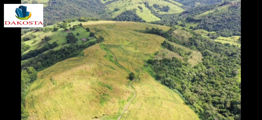 Dakosta Imveis em Enas Marques PR e regio