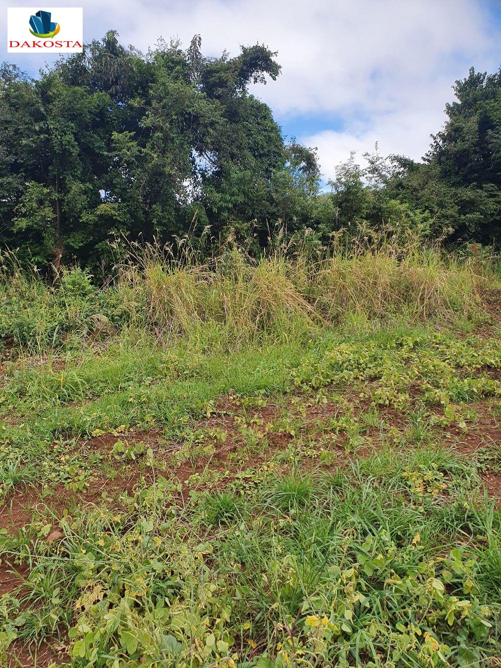 Dakosta Imveis em Enas Marques PR e regio