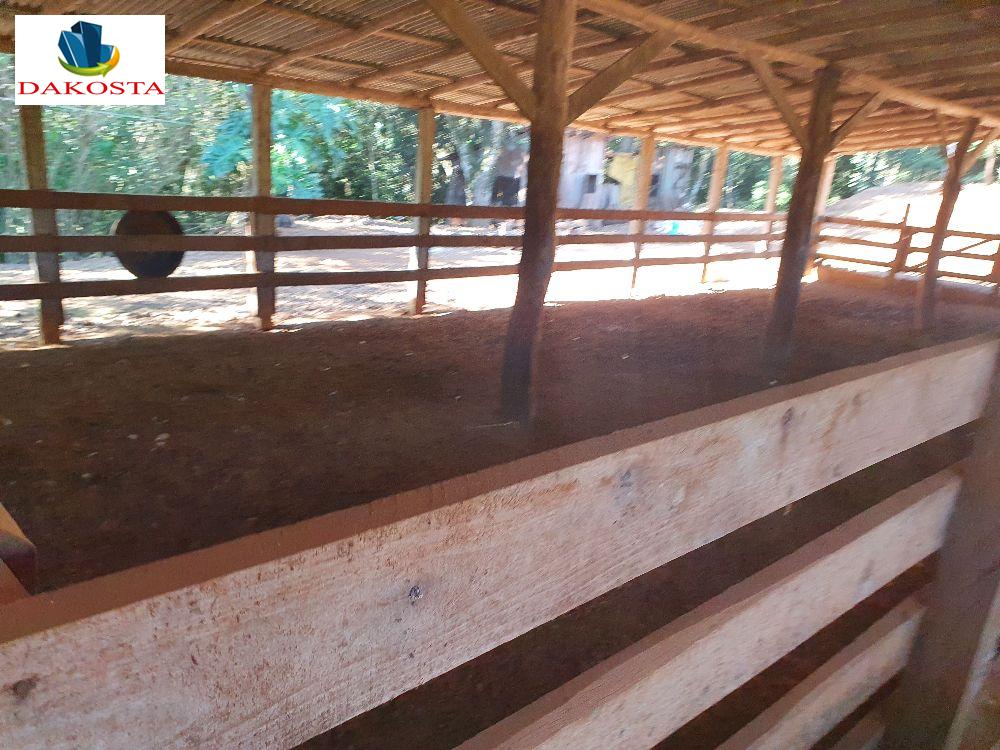 2,52 Alqueires excelente Leiteria completa formada