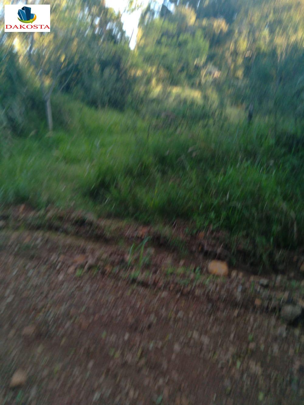 Dakosta Imveis em Enas Marques PR e regio