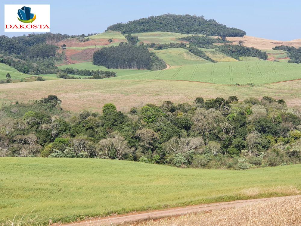 Dakosta Imveis em Enas Marques PR e regio