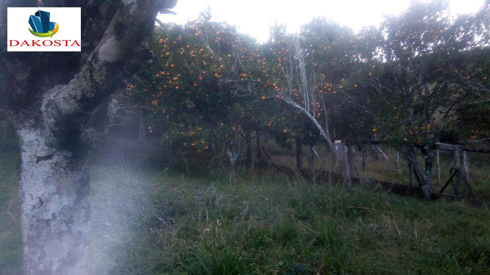 Dakosta Imveis em Enas Marques PR e regio