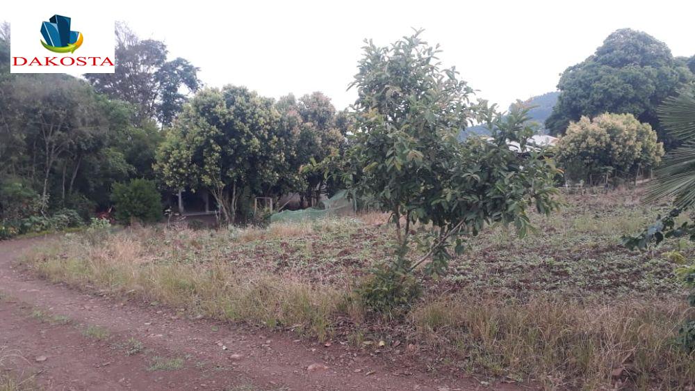 Dakosta Imveis em Enas Marques PR e regio