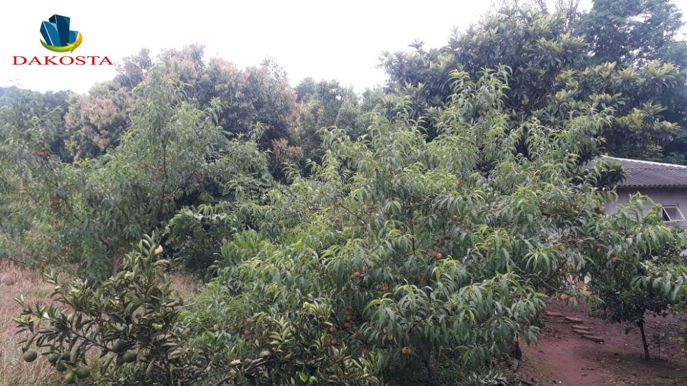 Dakosta Imveis em Enas Marques PR e regio